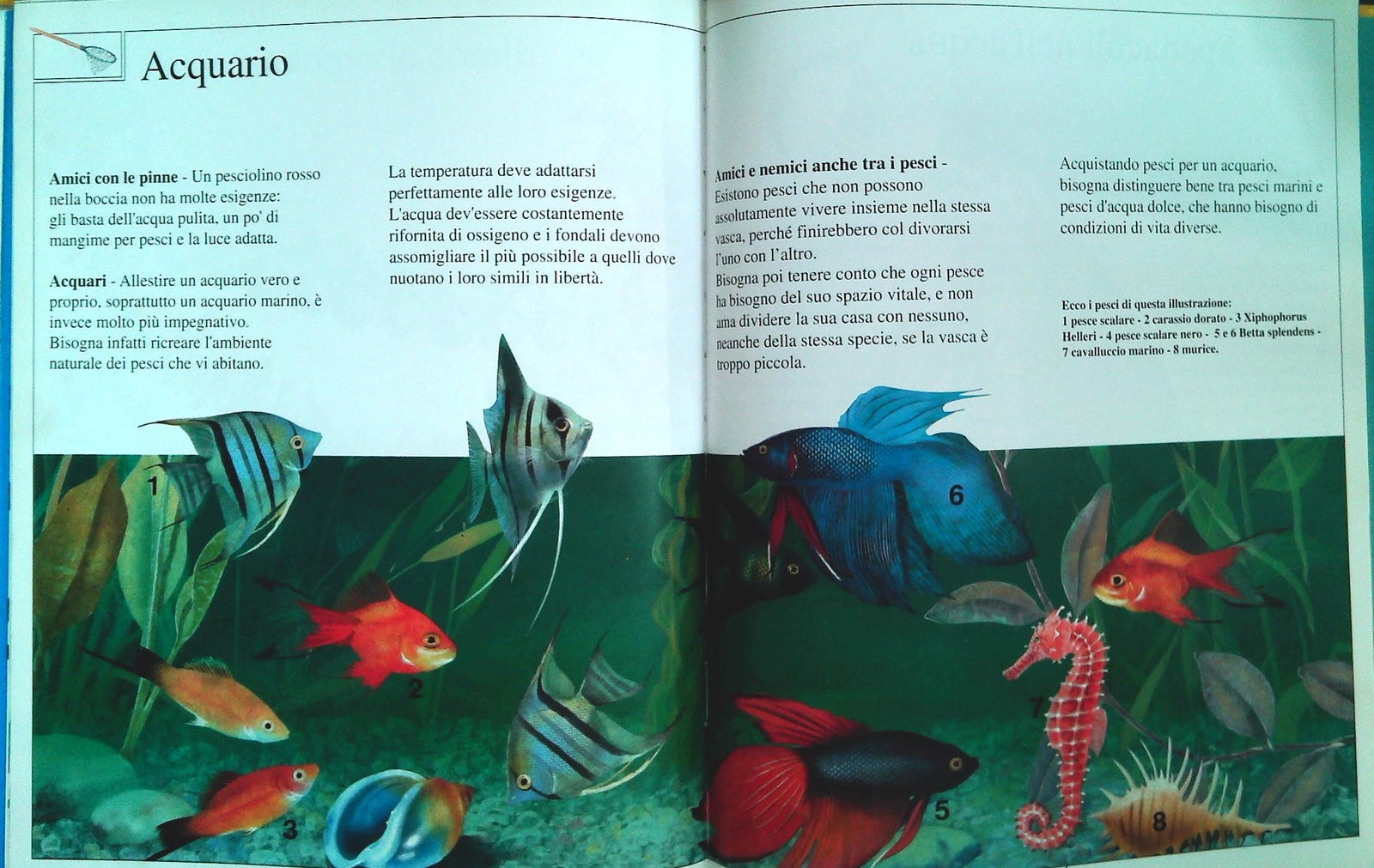 MARE IL BLU DELLA TERRA - LIBRI DAMI PER DIVENTARE GRANDI