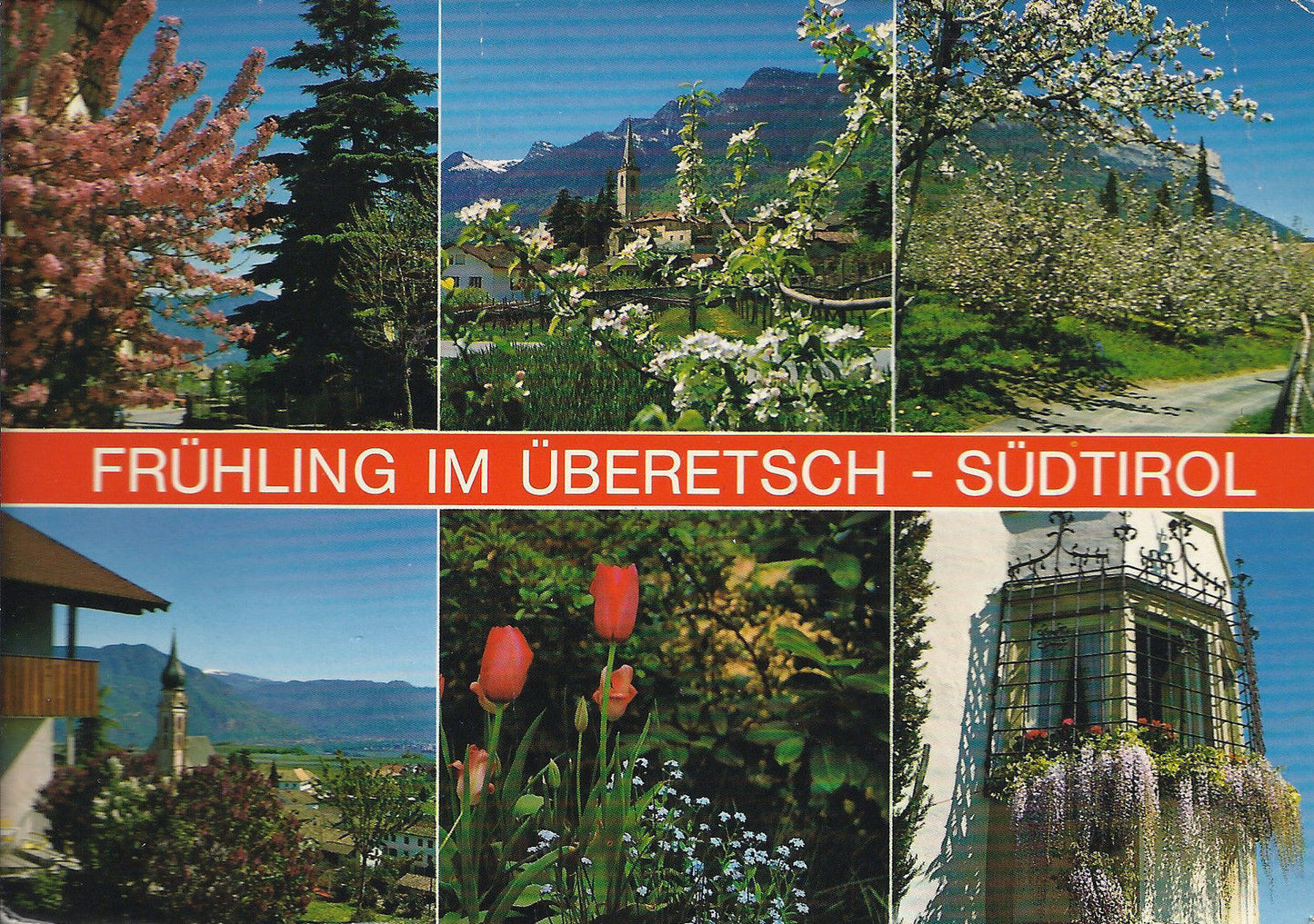FRUHLING IM UBERETSCH  SUD-TIROL - PRIMAVERA IN OLTRADIGE - 