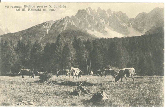 VAL PUSTERIA - MONTE HAUNOLD - PANORAMA - V1933