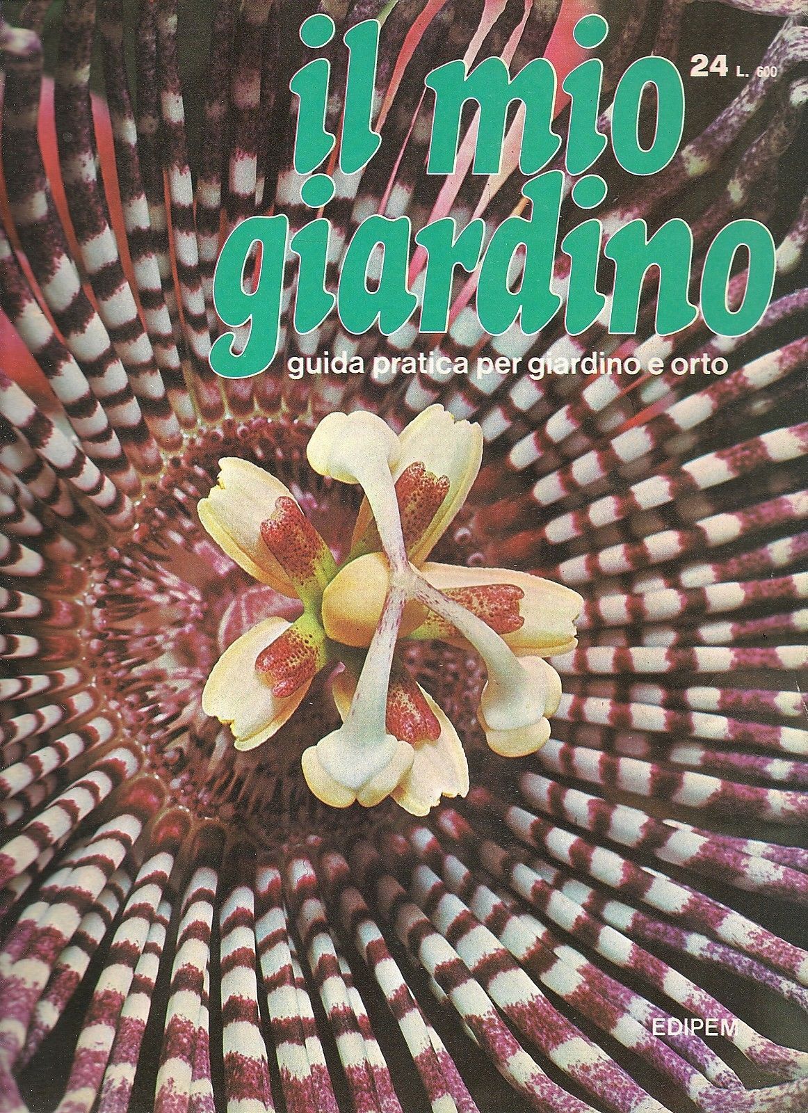 IL MIO GIARDINO N 24