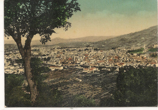 ASCOLI PICENO - PANORAMA - V953 - ACQUARELLATA
