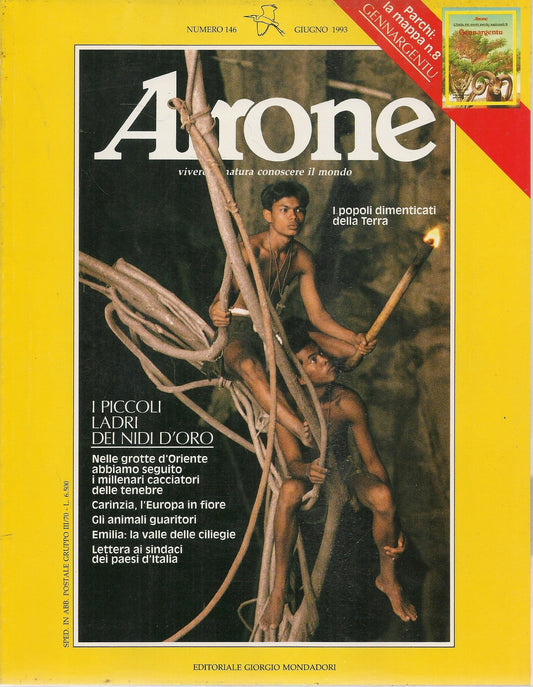 AIRONE N. 146 - GIUGNO 1993 - I PICCOLI LADRI DEI NIDI D'ORO