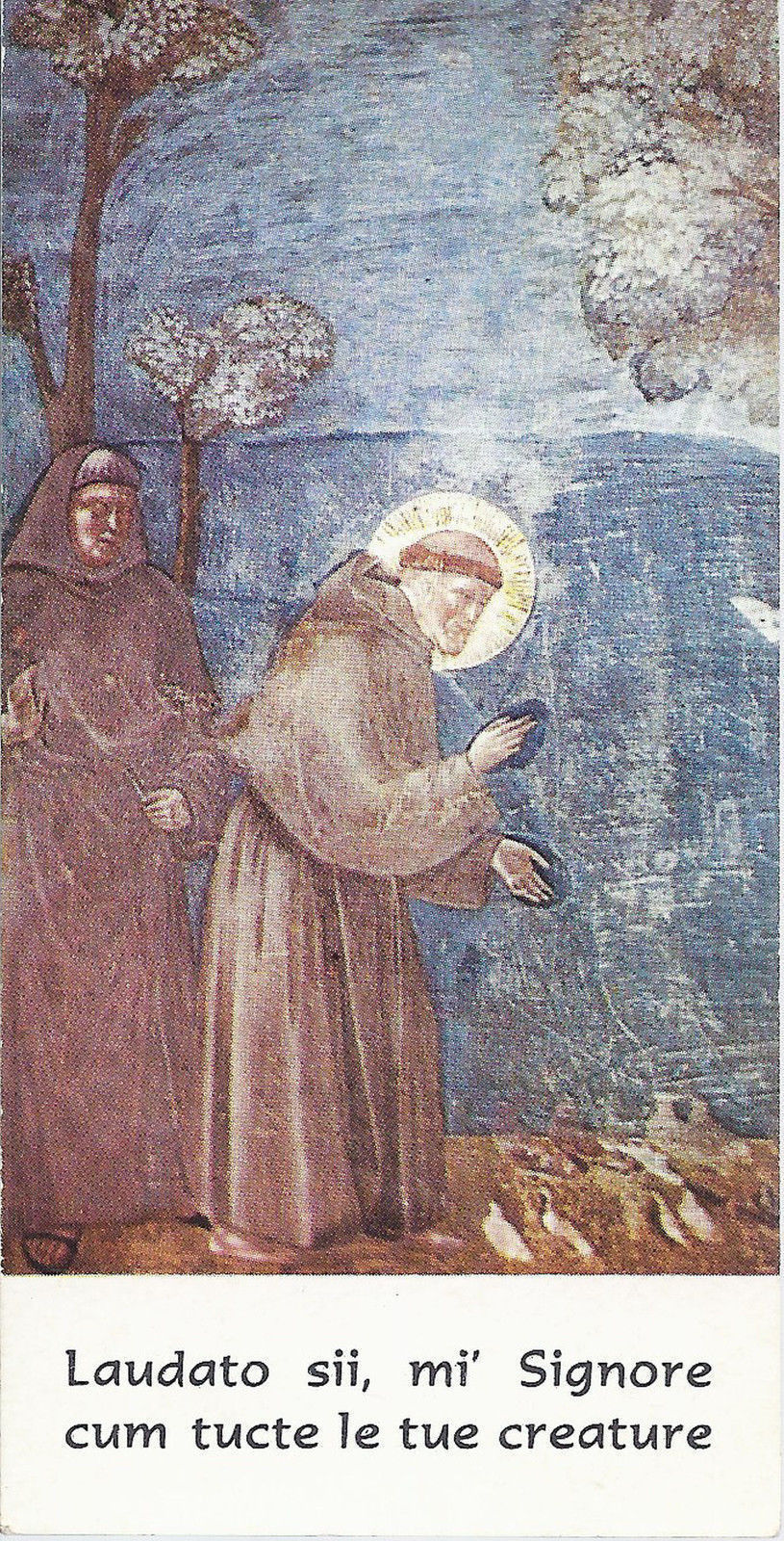 LAUDATO SII MI SIGNORE CUM TUCTE LE TUE CREATURE - S. FRANCE