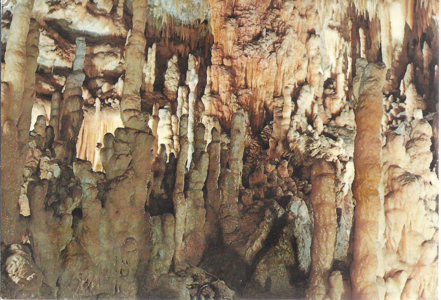 CASTELLANA - GROTTE - REALTA' MERAVIGLIOSA - V1974