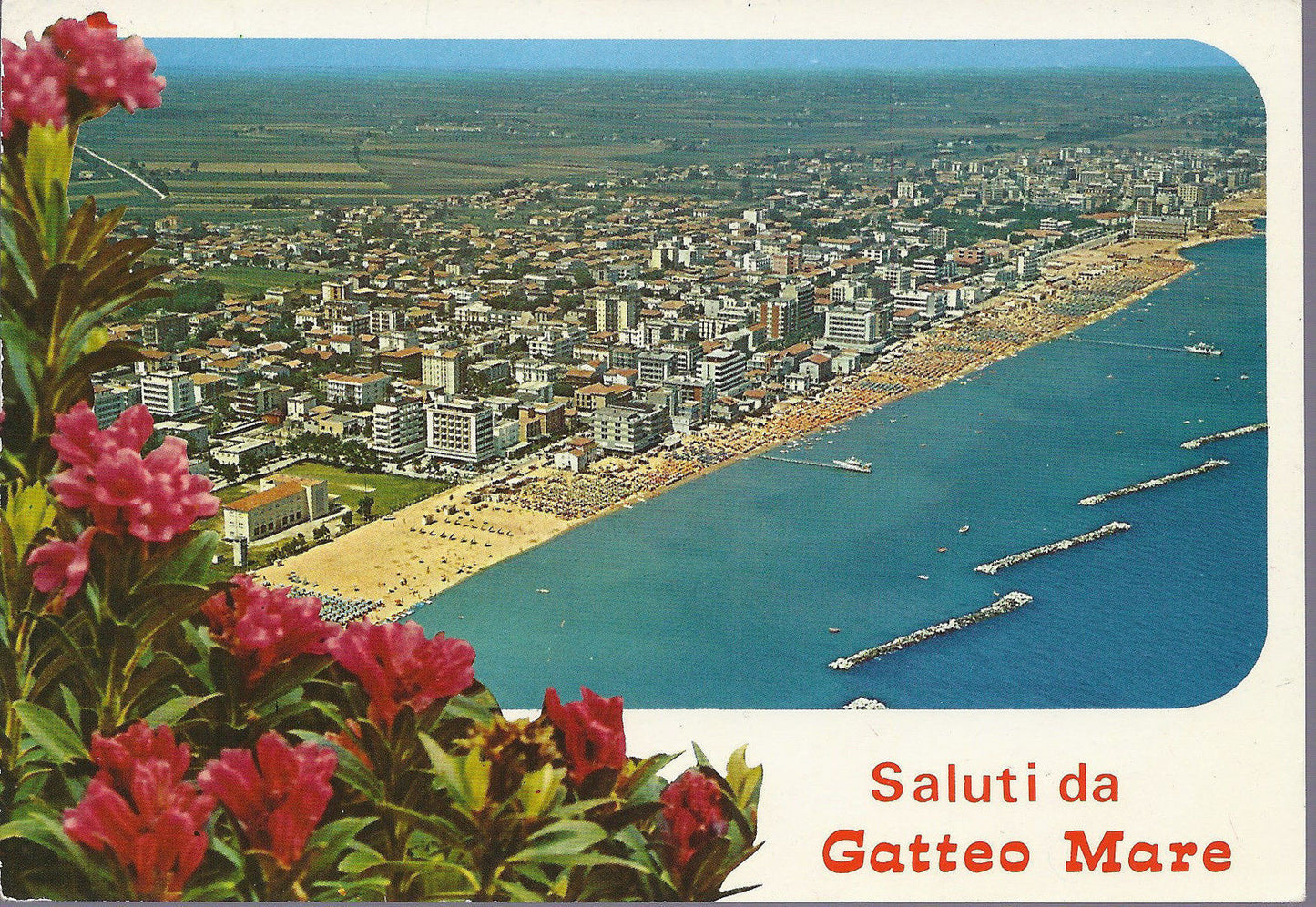 GATTEO MARE - SALUTI - VEDUTA AEREA - VSD