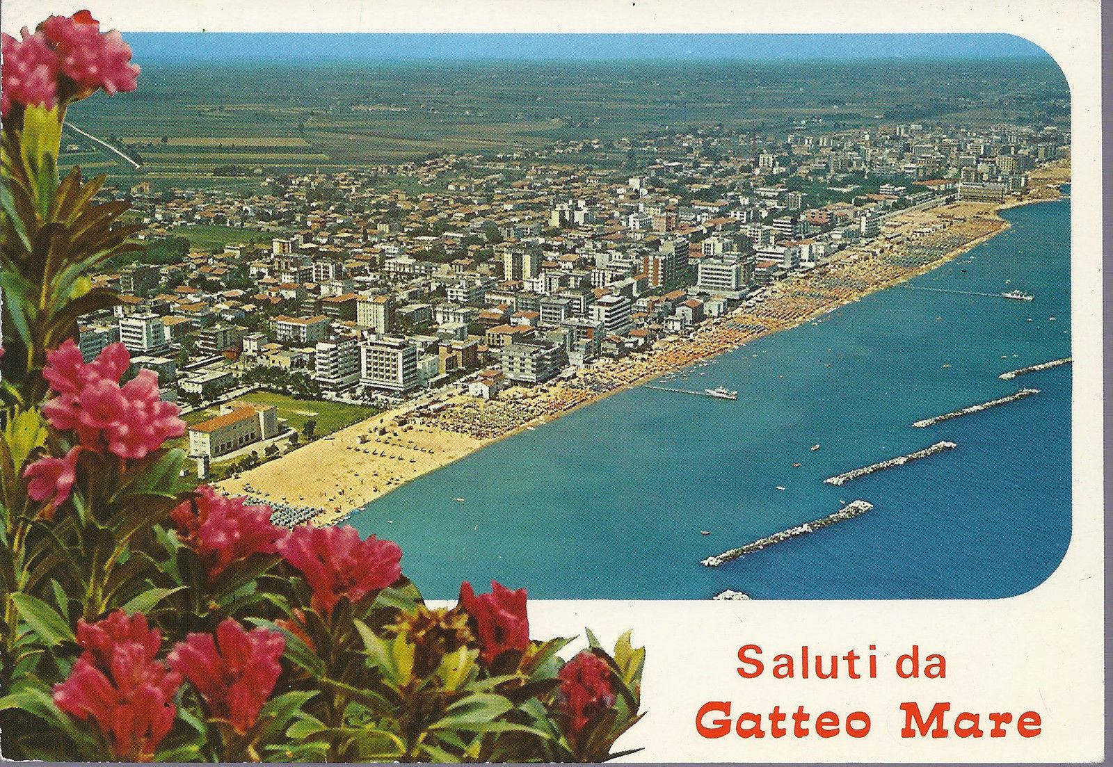 GATTEO MARE - SALUTI - VEDUTA AEREA - VSD