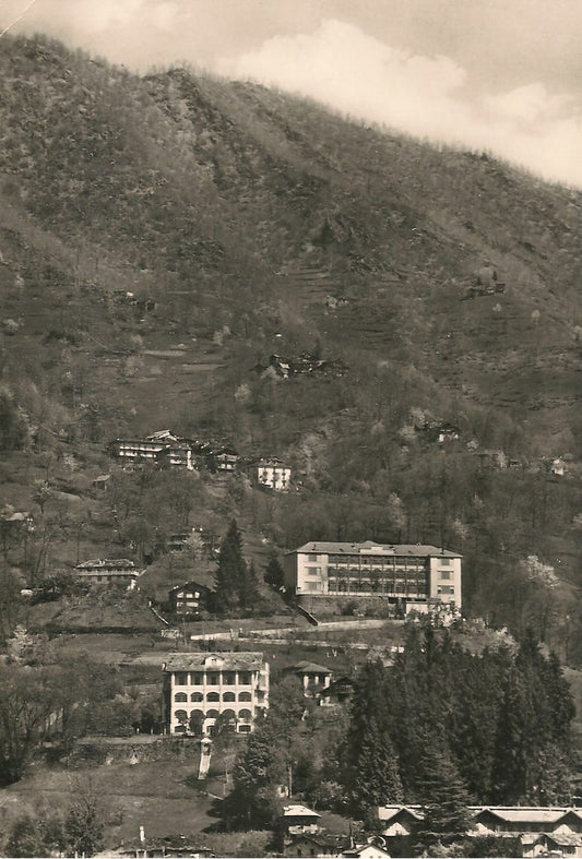 VIU' - SPIZIO SCUOLA MATERNAA E COLONIA S.G.B COTTOLENGO - V1979