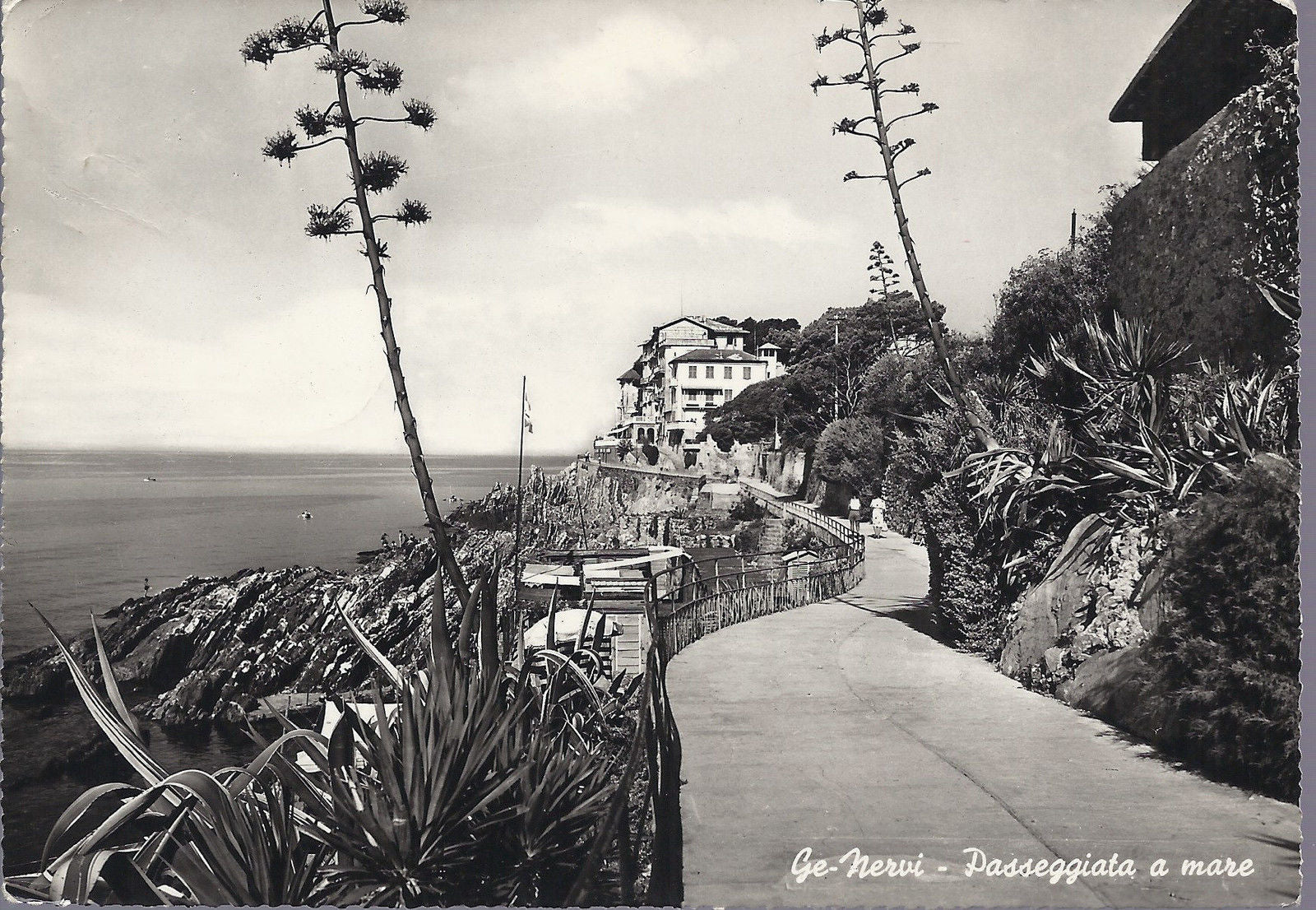 GENOVA NERVI - PASSEGGIATA A MARE - V 1952 - FG