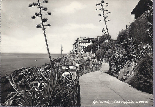 GENOVA NERVI - PASSEGGIATA A MARE - V 1952 - FG