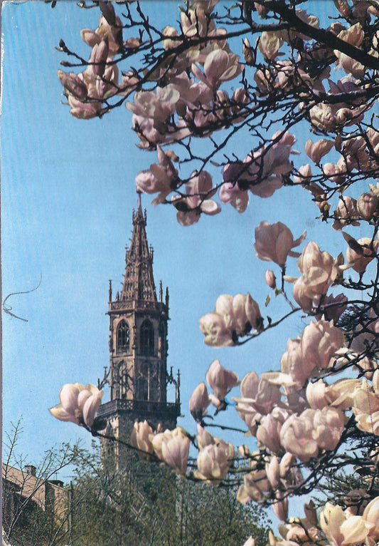BOLZANO - BOZEN - TORRE DEL DUOMO - V1972