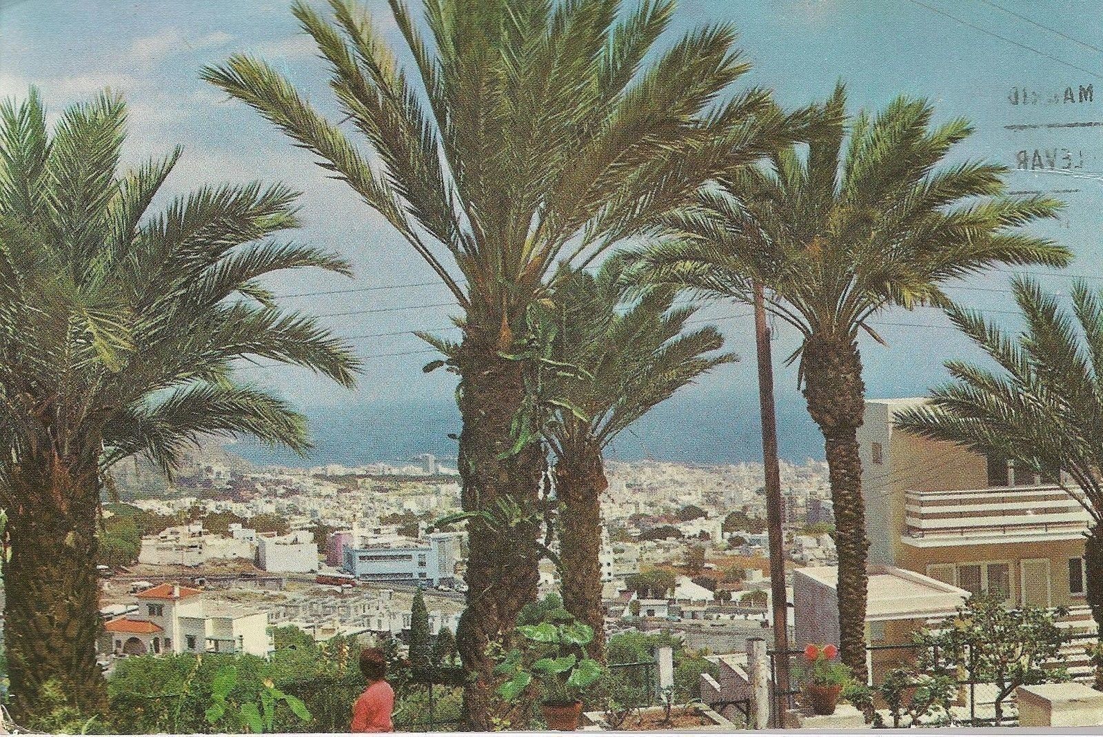 SANTA CRUZ DE TENERIFE - PANORAMA - V1966