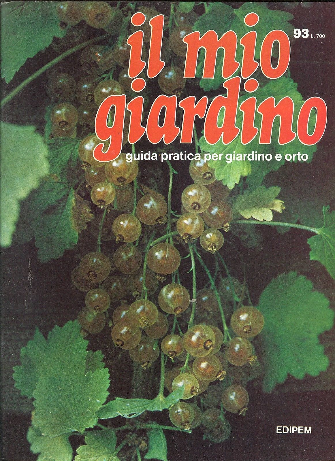 IL MIO GIARDINO N 93