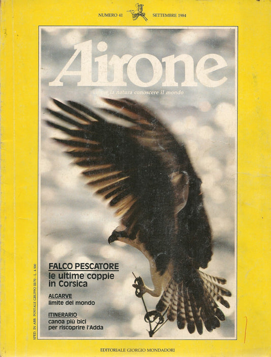 AIRONE  N. 41- SETTEMBRE 1984 - FALCO PESCATORE