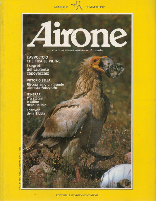 AIRONE N. 79 - NOVEMBRE 1987 - L'AVVOLTOIO CHE TIRA LE PIETRE