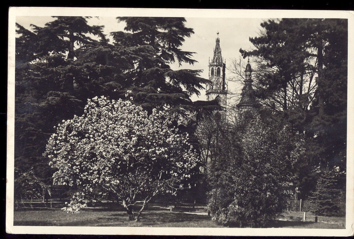 BOLZANO IN PRIMAVERA - V1946