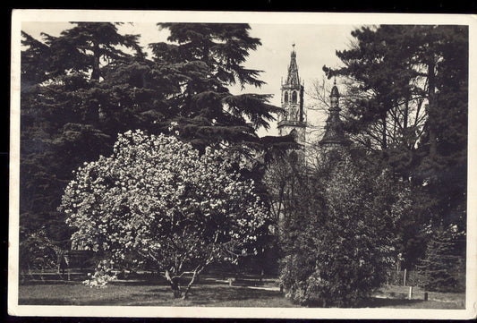 BOLZANO IN PRIMAVERA - V1946