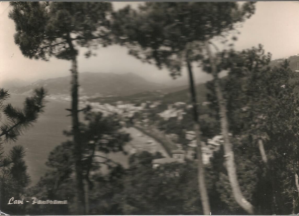 CAVI DI LAVAGNA -PANORAMA - V1966