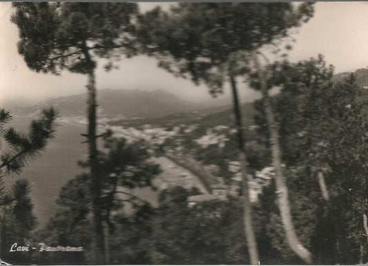 CAVI DI LAVAGNA -PANORAMA - V1966