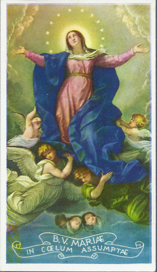 B. V. MARIAE IN COELUM ASSUMPTAE - SANTINO - AS013-132 - Ed.