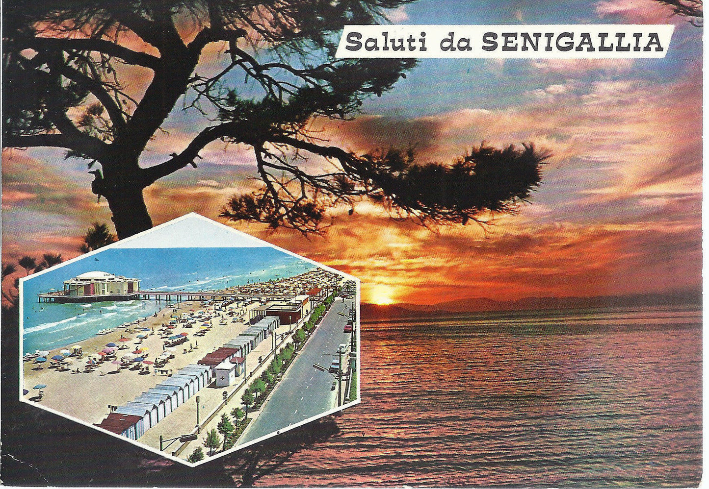 SENIGALLIA - SALUTI - V1976