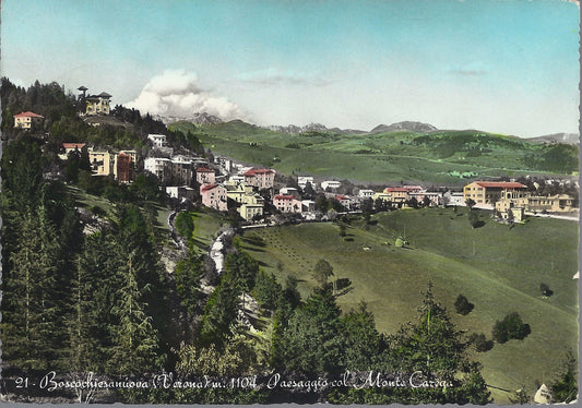 BOSCOCHIESANUOVA - PAESAGGIO COL MONTE CAREGA - V1956 - ACQUERELLATA