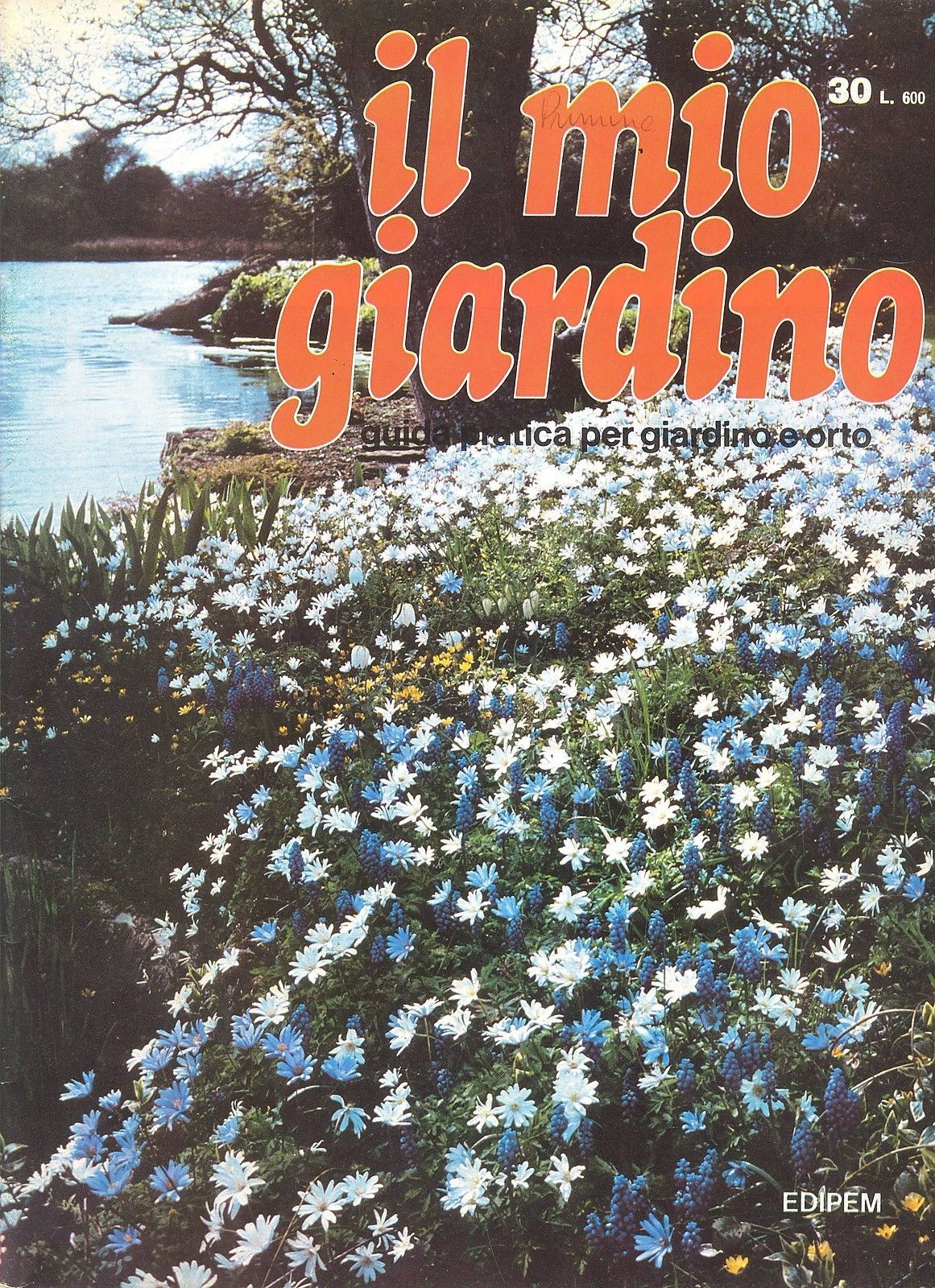 IL MIO GIARDINO N 30