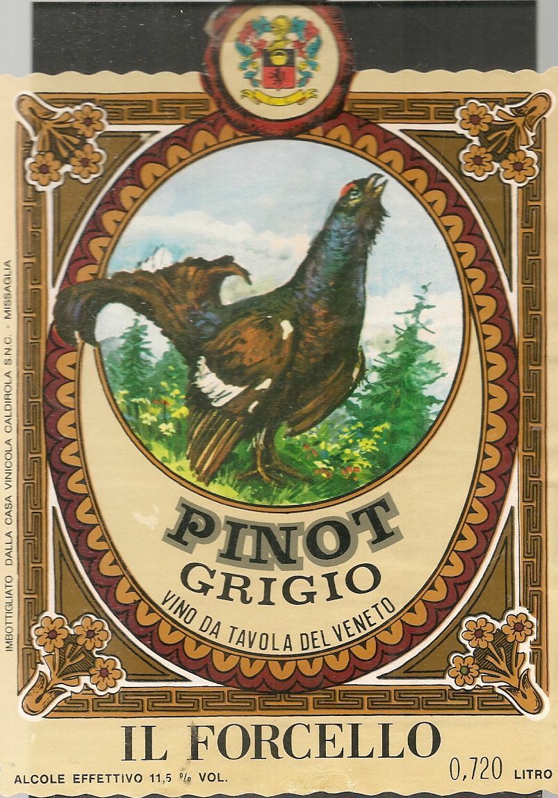 PINOT GRIGIO - IL FORCELLO CASA VINICOLA CALDIROLA - ETICHETTA VINO