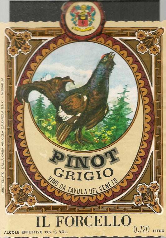 PINOT GRIGIO - IL FORCELLO CASA VINICOLA CALDIROLA - ETICHETTA VINO