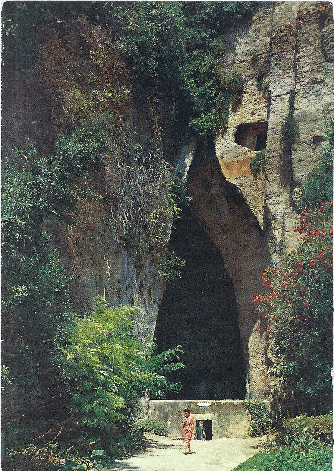 SIRACUSA - ORECCHIO DI DIONISIO - NV - FG