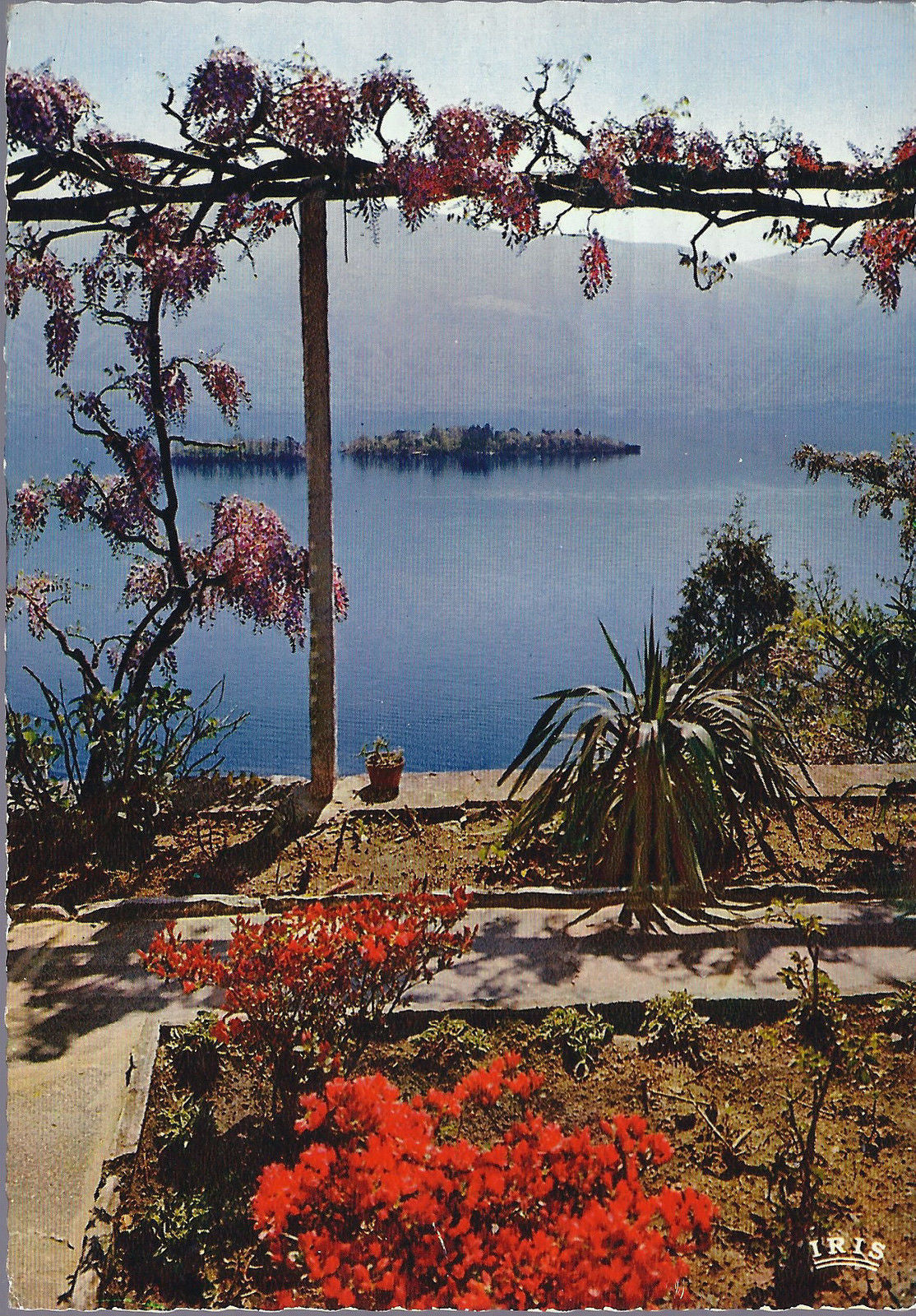 PORTO RONCO - LAGO MAGGIORE - VISTA ISOLE DI BRISSAGO - V196