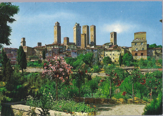 CITTA' DI SAN GIMIGNANO - PANORAMA - V 1983 - FG