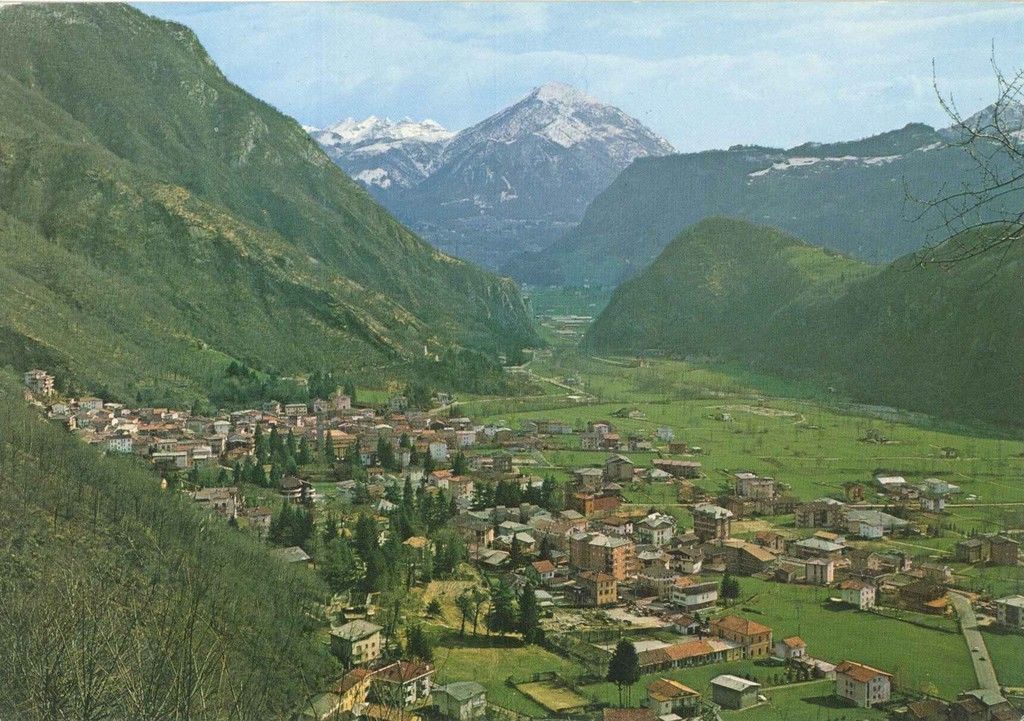 INTROBIO - PANORAMA - V1980
