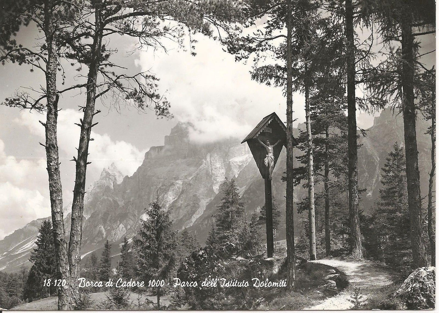 BARCA DI CADORE - PARCO DELL'ISTITUTO DOLOMITI - PANORA