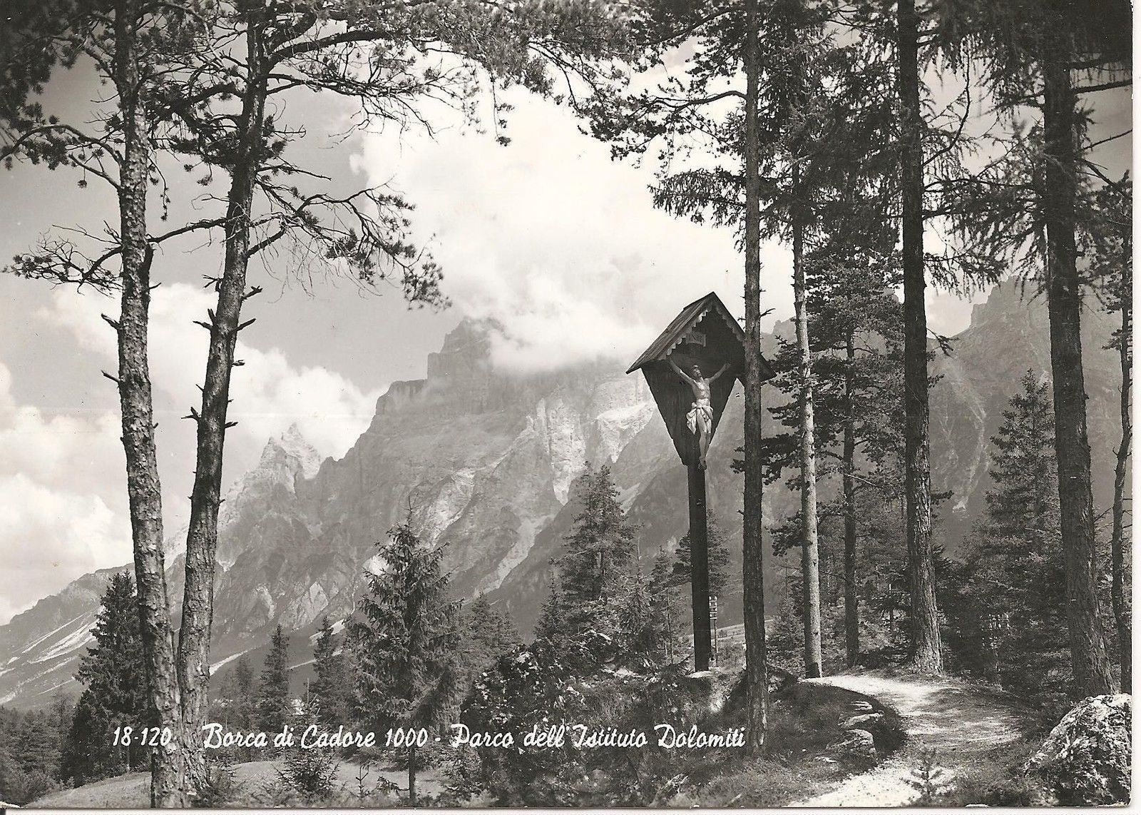 BARCA DI CADORE - PARCO DELL'ISTITUTO DOLOMITI - PANORA