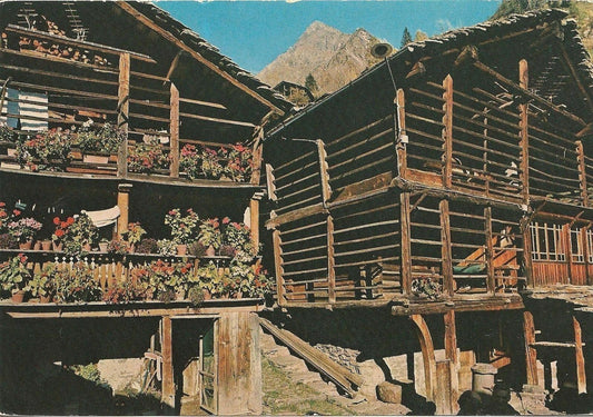 ALAGNA VALSESIA - FRAZ. PEDEMONTE - V1978