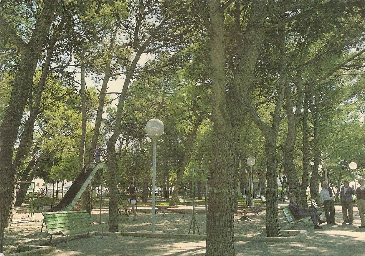 CISTERNINO - PINETA - V1988