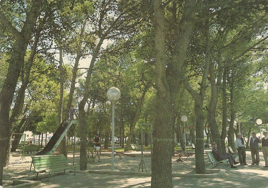 CISTERNINO - PINETA - V1988
