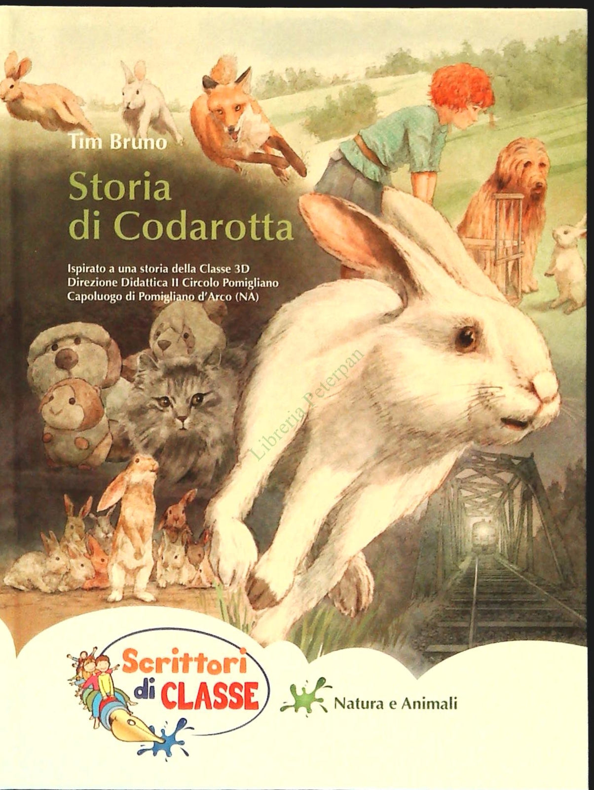 STORIA DI CODAROTTA - IM BRUNO - SCRITTORI DI CLASSE