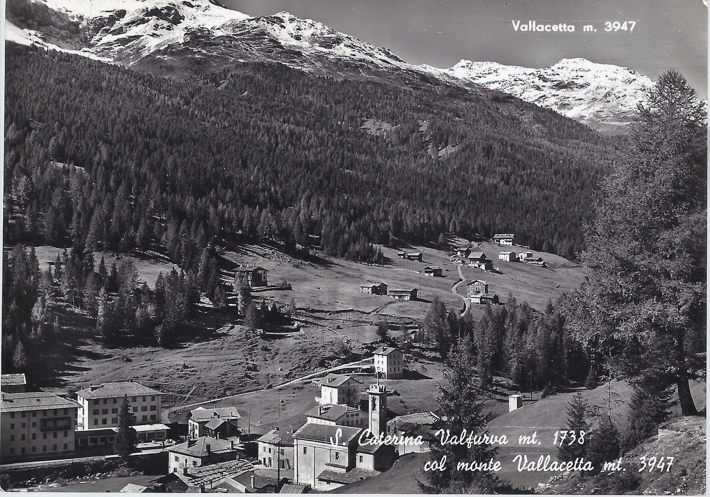 S. CATERINA VALFURVA COL MONTE VALLACETTA - V ANNI '50