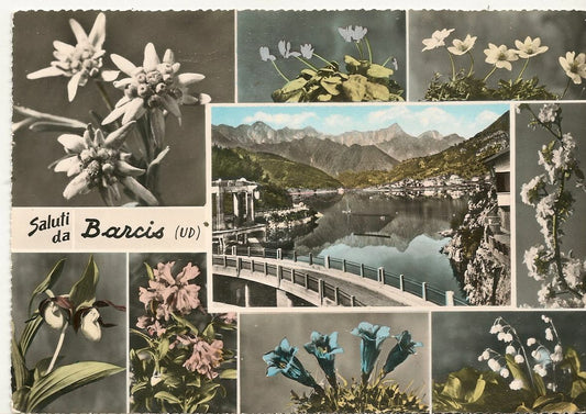 SALUTI DA BARCIS - CORNICI STELLE ALPINE - NV