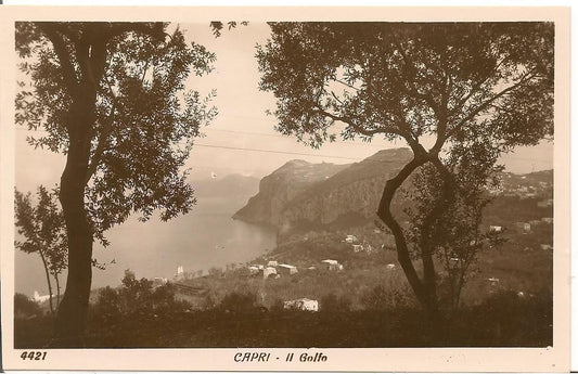 CAPRI - IL GOLFO - NV