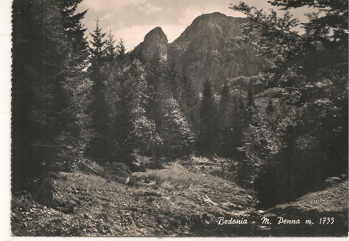 BEDONIA - MONTE PENNA - NV