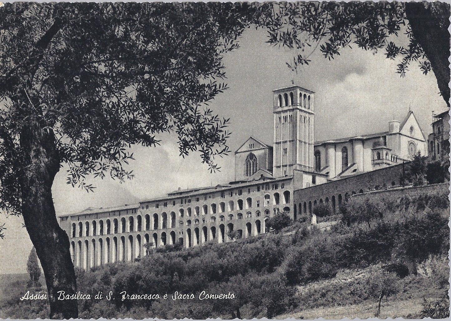 ASSISI - BASILICA DI S. FRANCESCO E SACRO CONVENTO - NV - FG