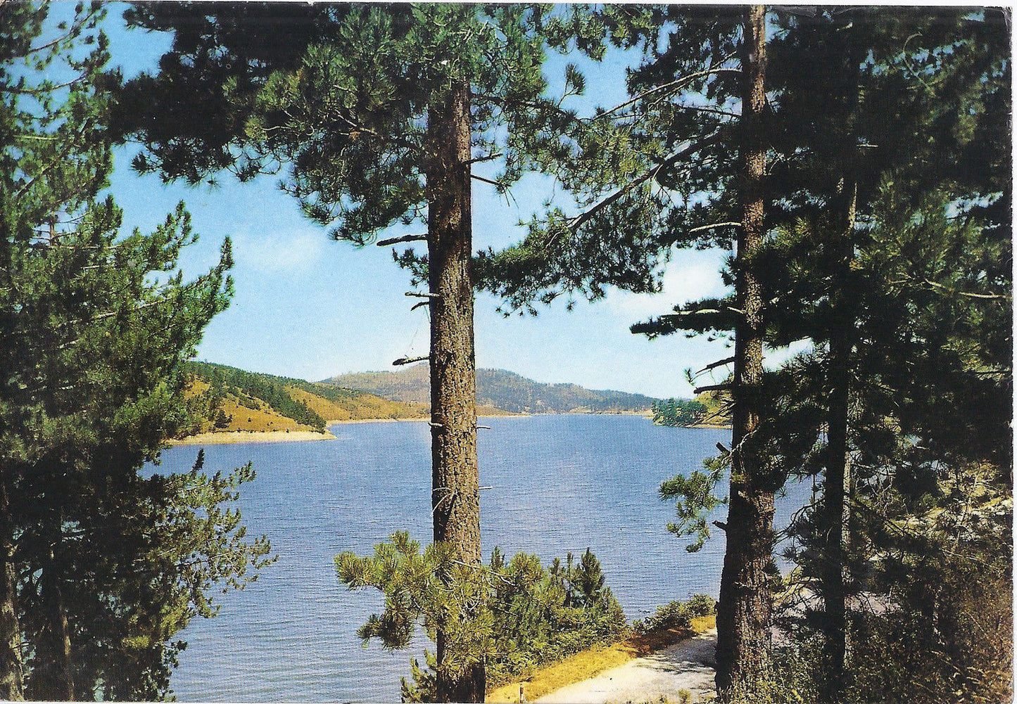 SILA - LAGO AMPOLLINO - V 1965 - FG