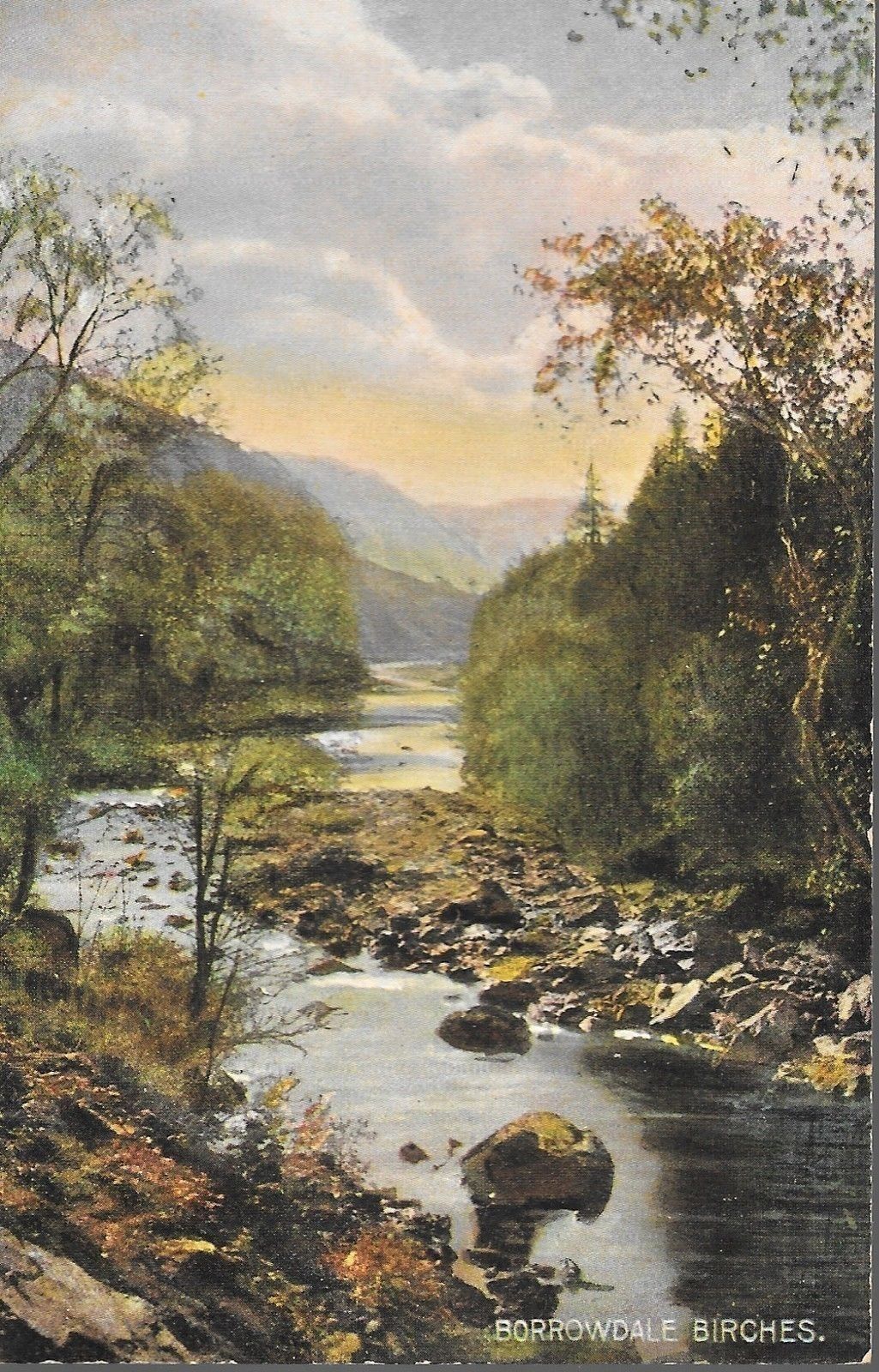 BORROWDALE BIRCHES - NV/NT