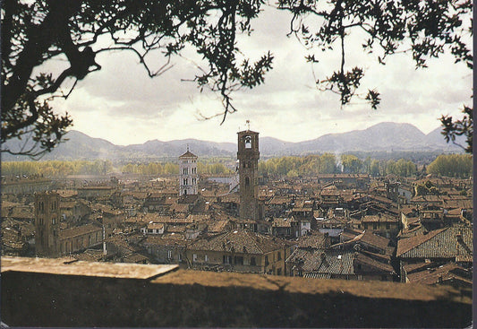 LUCCA - VEDUTA DELLA TORRE GUINIGI - NV