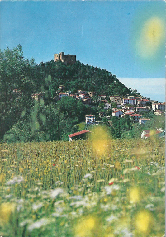 ZAVATTARELLO - PANORAMA - NV - FG