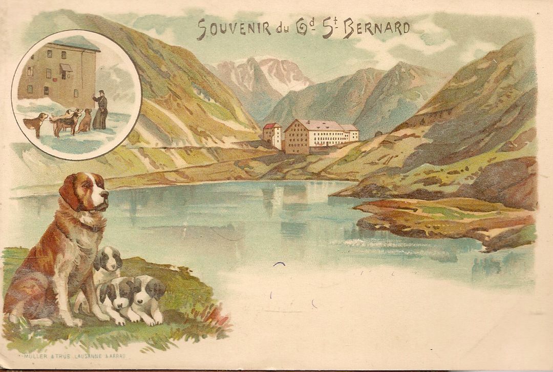 SOUVENIR DA G.ST. BERNARD - NV - DORSO UNITO