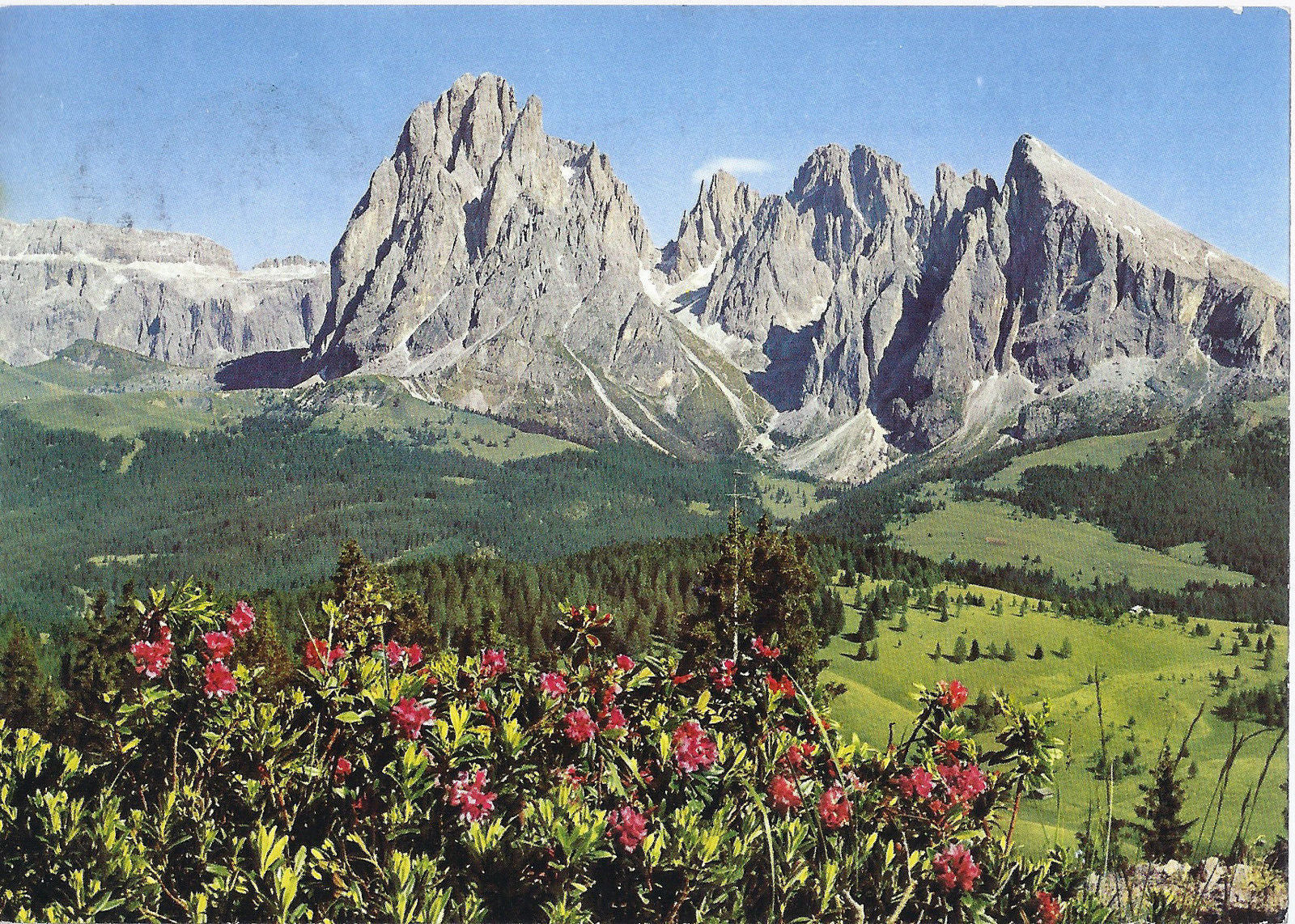 GRUPPO DEL SASSOLUNGO DALL'ALPE DI SIUSI - V 1965 - FG