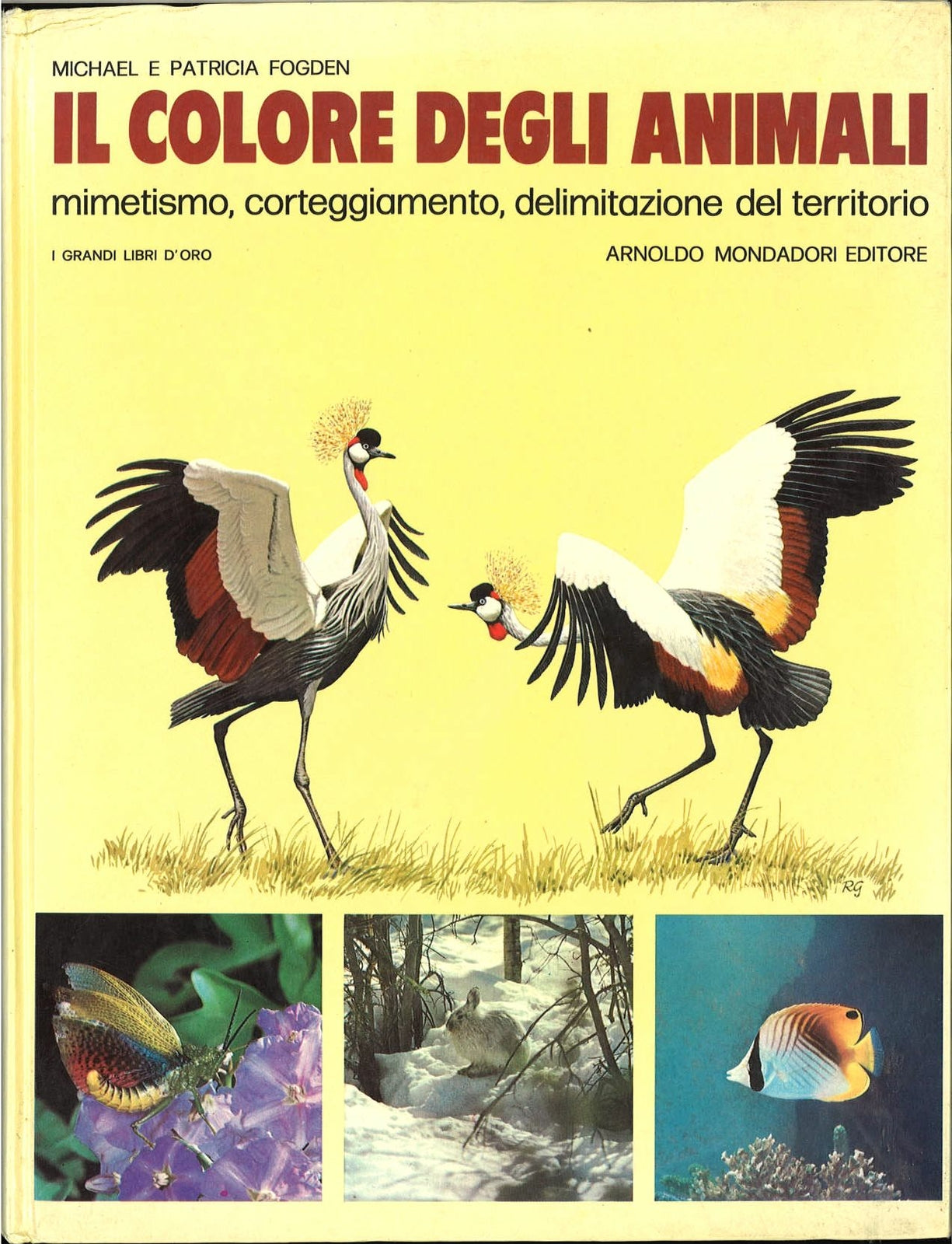 IL COLORE DEGLI ANIMALI - MICHAEL E PATRICIA FOGDEN
